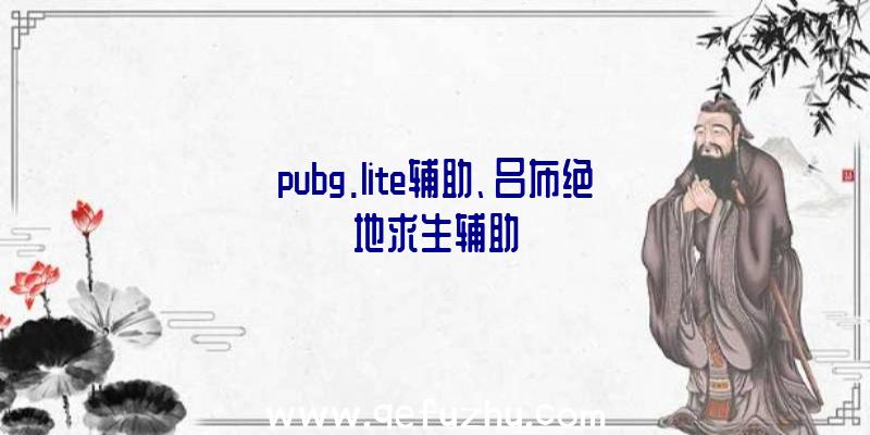 pubg.lite辅助、吕布绝地求生辅助