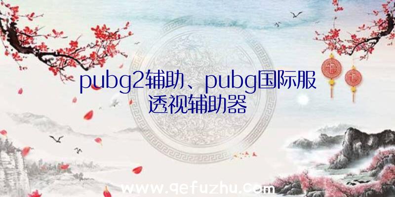 pubg2辅助、pubg国际服透视辅助器