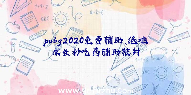 pubg2020免费辅助、绝地求生秒吃药辅助被封