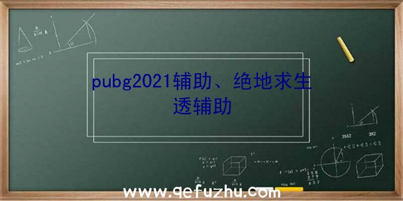 pubg2021辅助、绝地求生透辅助