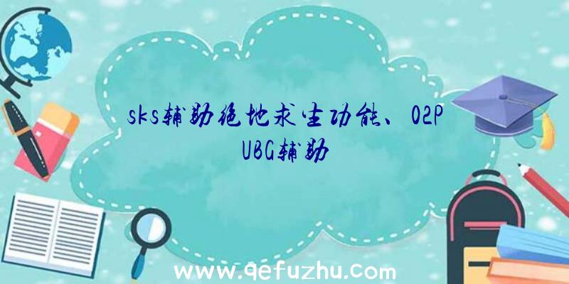 sks辅助绝地求生功能、02PUBG辅助