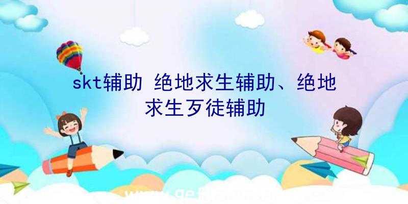 skt辅助+绝地求生辅助、绝地求生歹徒辅助