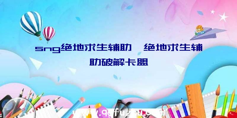 sng绝地求生辅助、绝地求生辅助破解卡盟