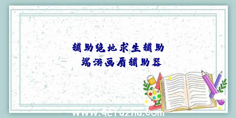 sos辅助绝地求生辅助、pubg端游画质辅助器