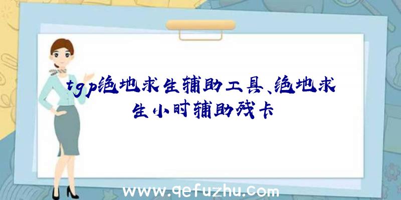 tgp绝地求生辅助工具、绝地求生小时辅助残卡