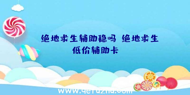 uk绝地求生辅助稳吗、绝地求生低价辅助卡