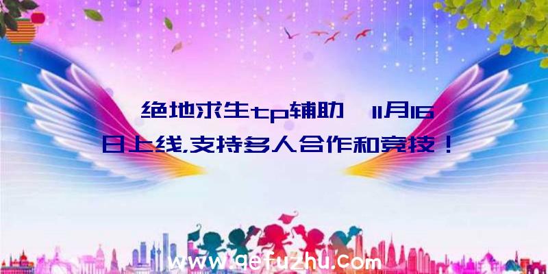 《绝地求生tp辅助》11月16日上线，支持多人合作和竞技！