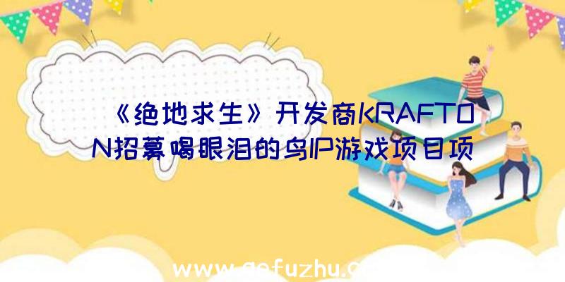 《绝地求生》开发商KRAFTON招募喝眼泪的鸟IP游戏项目项