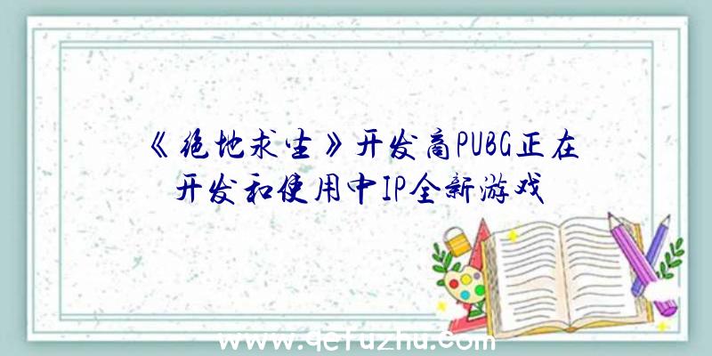 《绝地求生》开发商PUBG正在开发和使用中IP全新游戏