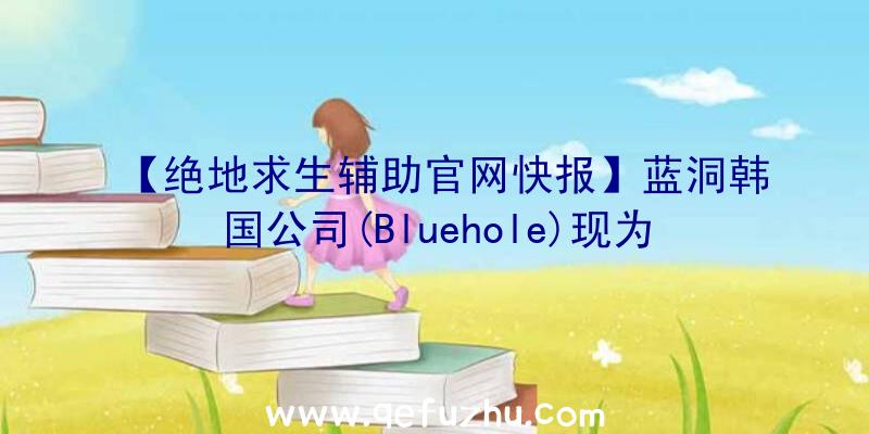 【绝地求生辅助官网快报】蓝洞韩国公司(Bluehole)现为