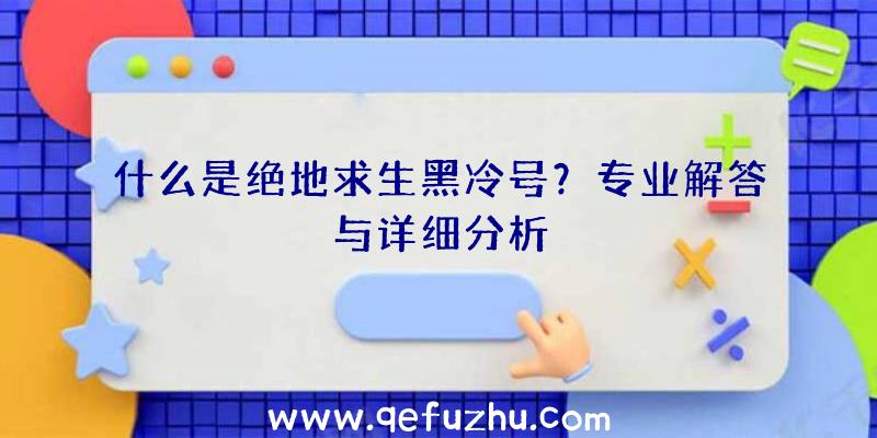 什么是绝地求生黑冷号？专业解答与详细分析