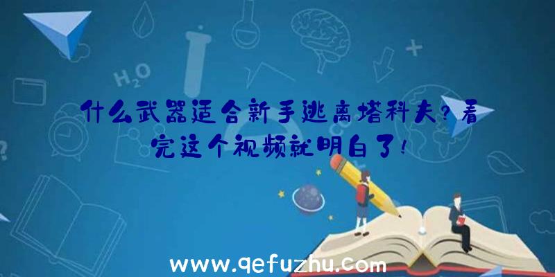 什么武器适合新手逃离塔科夫？看完这个视频就明白了!