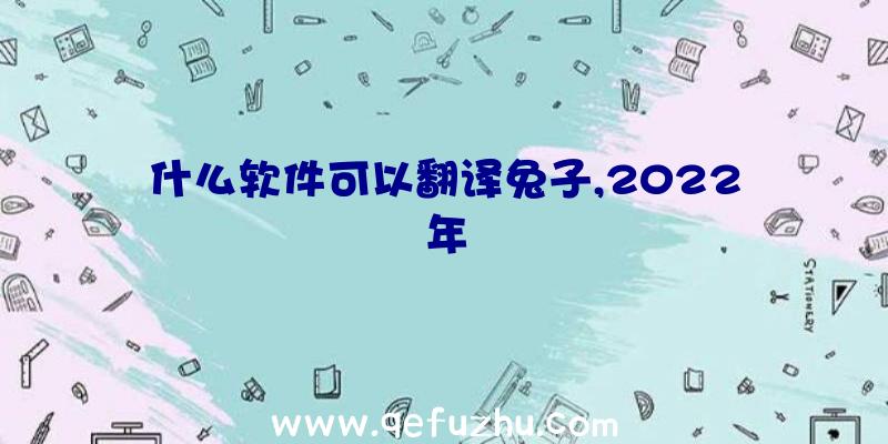 什么软件可以翻译兔子,2022年