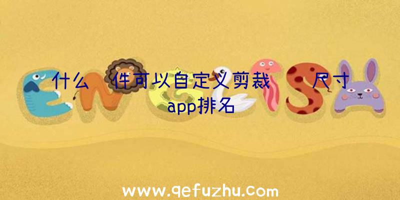 什么软件可以自定义剪裁视频尺寸app排名