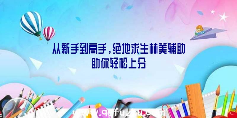 从新手到高手，绝地求生林美辅助助你轻松上分