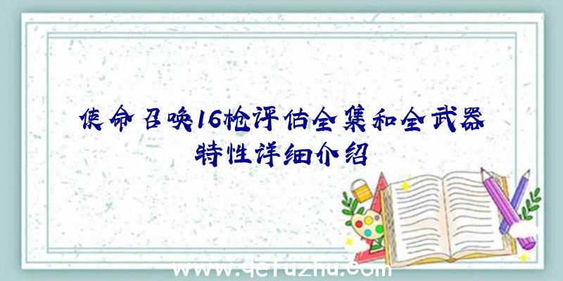 使命召唤16枪评估全集和全武器特性详细介绍