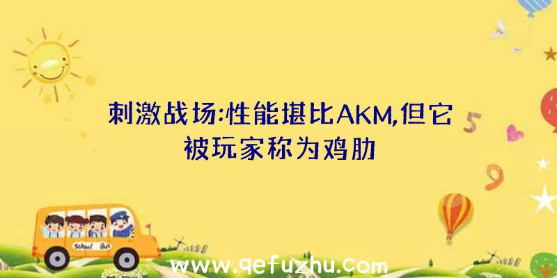 刺激战场:性能堪比AKM,但它被玩家称为鸡肋