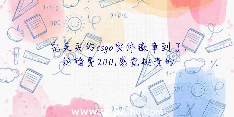 完美买的csgo实体徽章到了,运输费200,感觉挺贵的