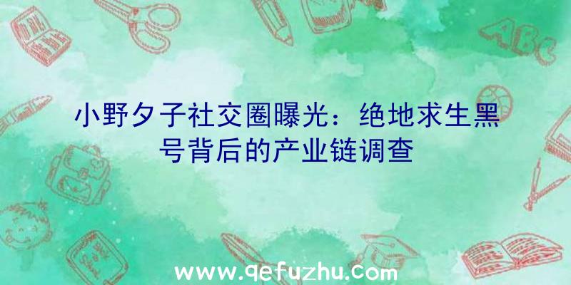 小野夕子社交圈曝光：绝地求生黑号背后的产业链调查