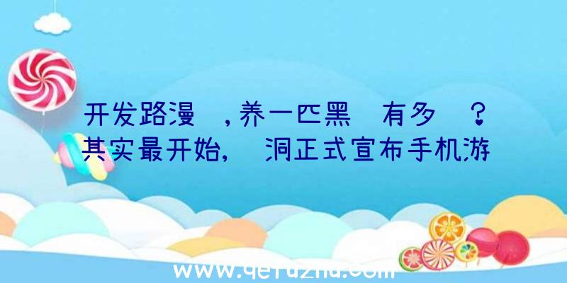 开发路漫长,养一匹黑马有多难？其实最开始,蓝洞正式宣布手机游