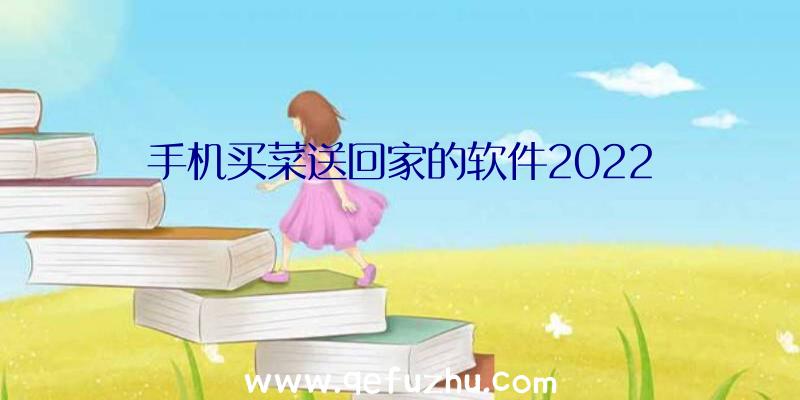 手机买菜送回家的软件2022