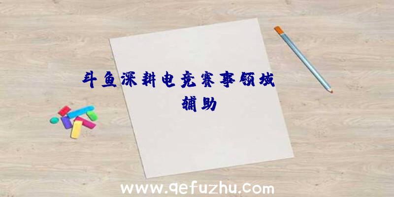 斗鱼深耕电竞赛事领域_PUBG辅助