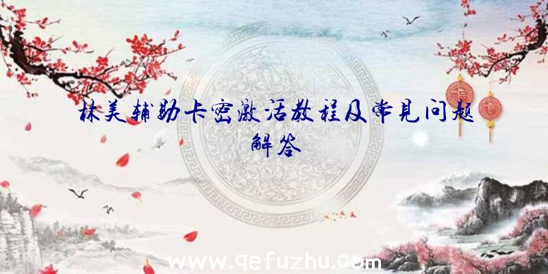 林美辅助卡密激活教程及常见问题解答