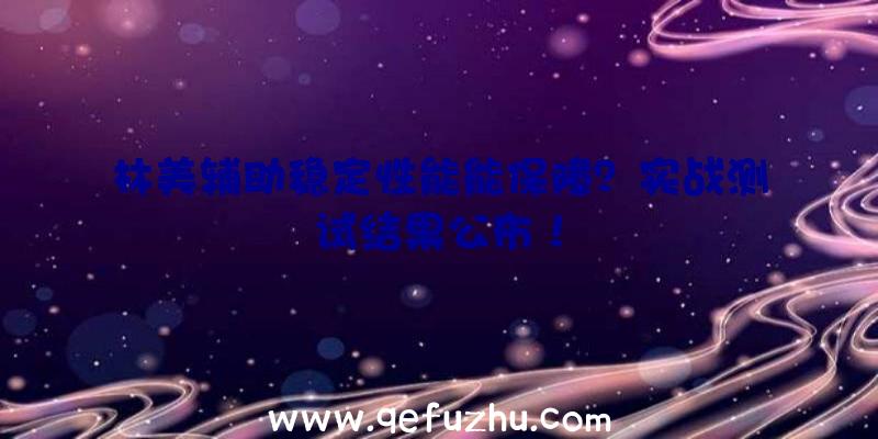 林美辅助稳定性能能保障？实战测试结果公布！