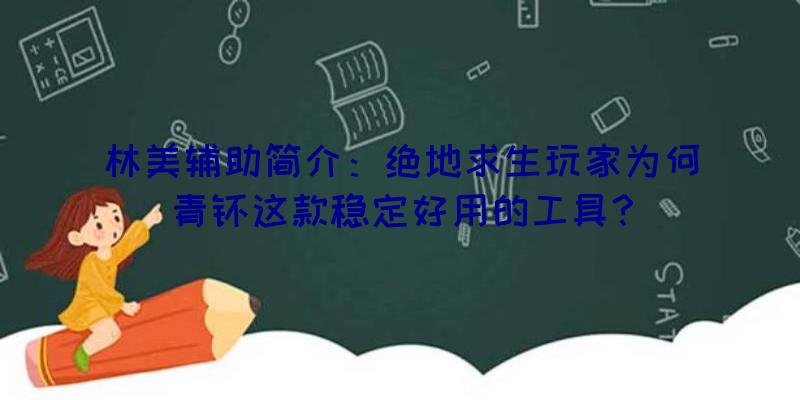 林美辅助简介：绝地求生玩家为何青睐这款稳定好用的工具？