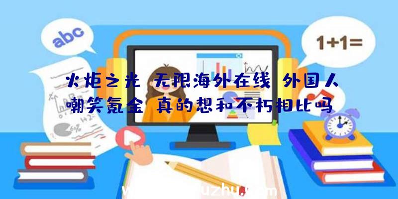 火炬之光:无限海外在线,外国人嘲笑氪金:真的想和不朽相比吗？