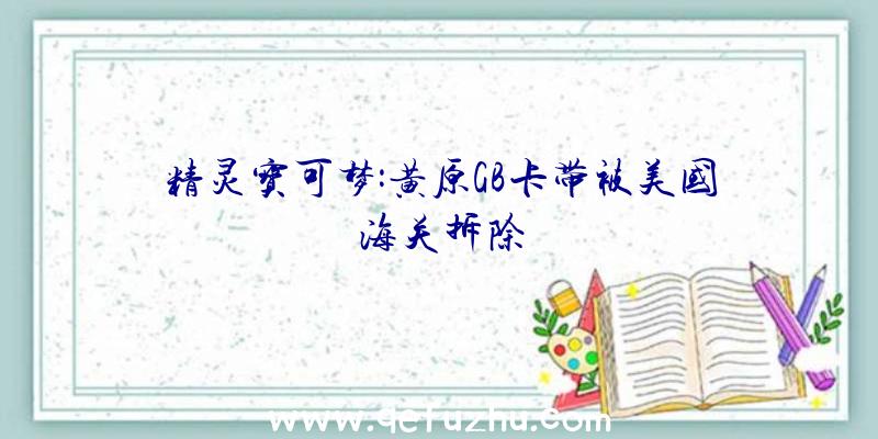 精灵宝可梦:黄原GB卡带被美国海关拆除