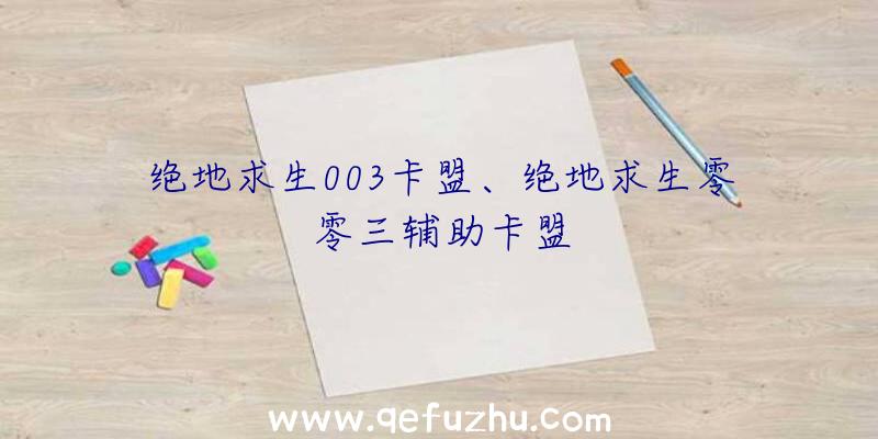 绝地求生003卡盟、绝地求生零零三辅助卡盟