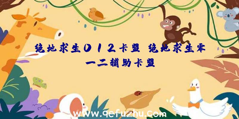 绝地求生012卡盟、绝地求生零一二辅助卡盟