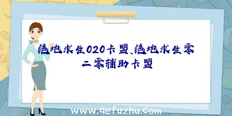 绝地求生020卡盟、绝地求生零二零辅助卡盟