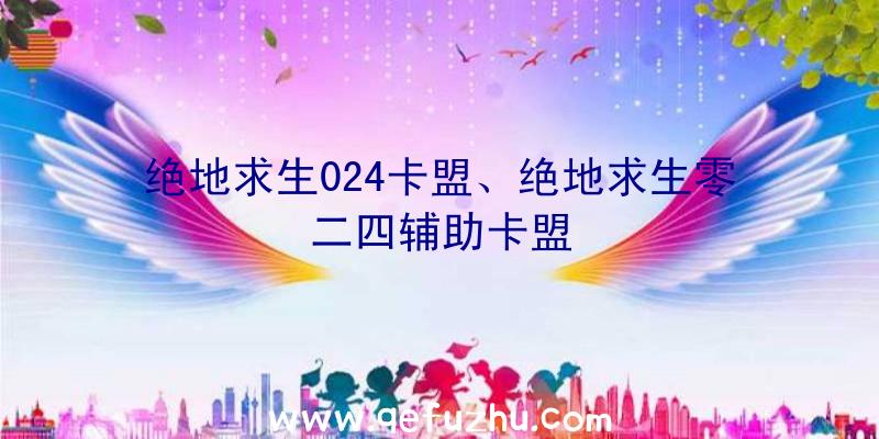 绝地求生024卡盟、绝地求生零二四辅助卡盟