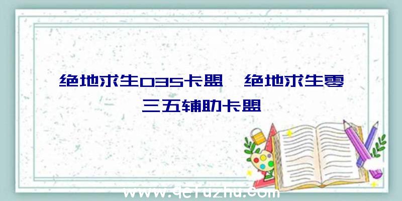 绝地求生035卡盟、绝地求生零三五辅助卡盟