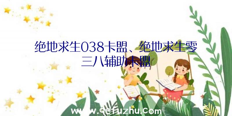 绝地求生038卡盟、绝地求生零三八辅助卡盟