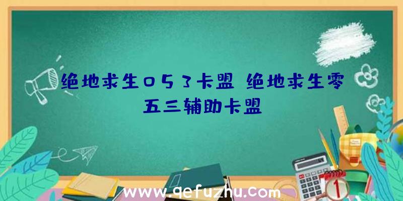 绝地求生053卡盟、绝地求生零五三辅助卡盟