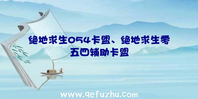 绝地求生054卡盟、绝地求生零五四辅助卡盟