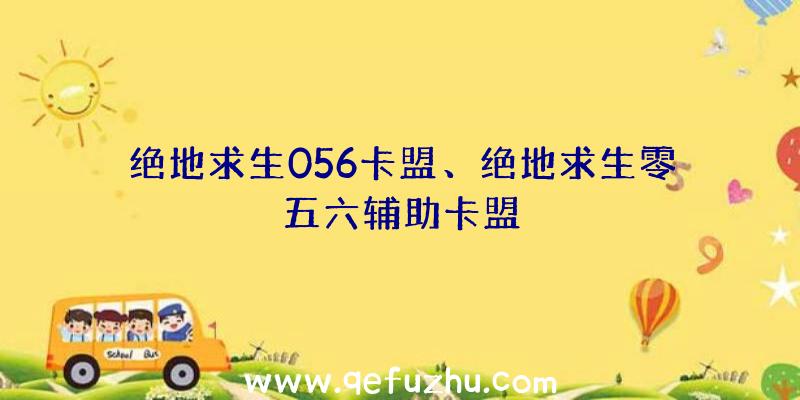 绝地求生056卡盟、绝地求生零五六辅助卡盟