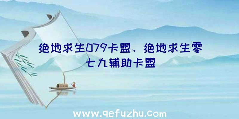 绝地求生079卡盟、绝地求生零七九辅助卡盟