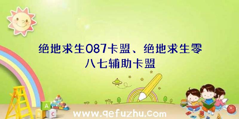 绝地求生087卡盟、绝地求生零八七辅助卡盟