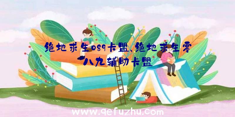 绝地求生089卡盟、绝地求生零八九辅助卡盟