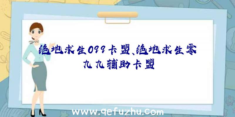 绝地求生099卡盟、绝地求生零九九辅助卡盟