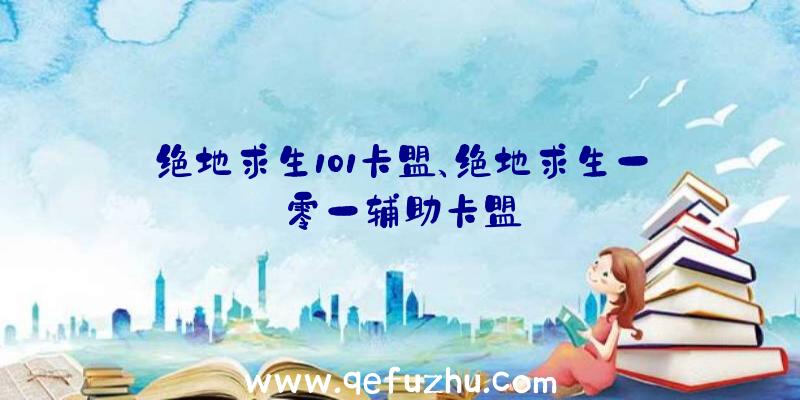 绝地求生101卡盟、绝地求生一零一辅助卡盟