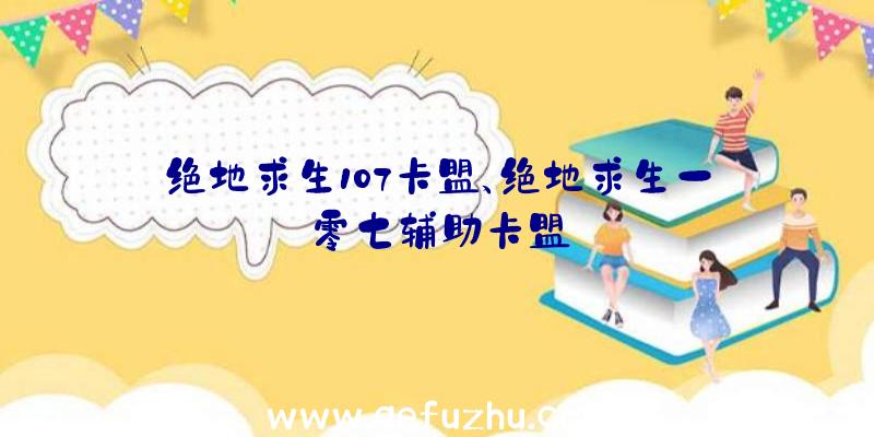 绝地求生107卡盟、绝地求生一零七辅助卡盟