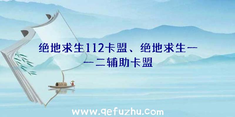 绝地求生112卡盟、绝地求生一一二辅助卡盟