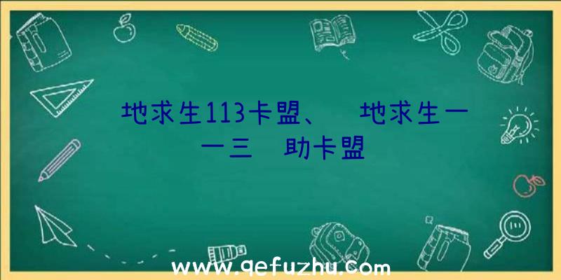 绝地求生113卡盟、绝地求生一一三辅助卡盟