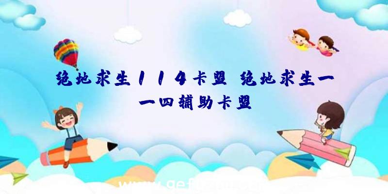 绝地求生114卡盟、绝地求生一一四辅助卡盟