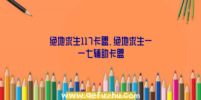 绝地求生117卡盟、绝地求生一一七辅助卡盟